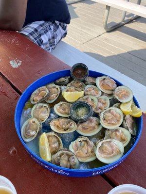 Clams on the half shell