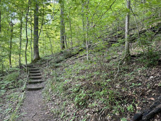 Saunders Springs Nature Preserve