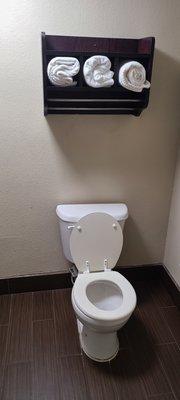 Tiny Toliet