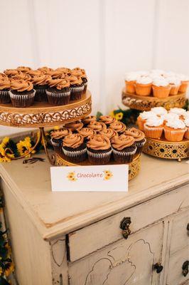 Chocolate Cupcakes with Chocolate Icing