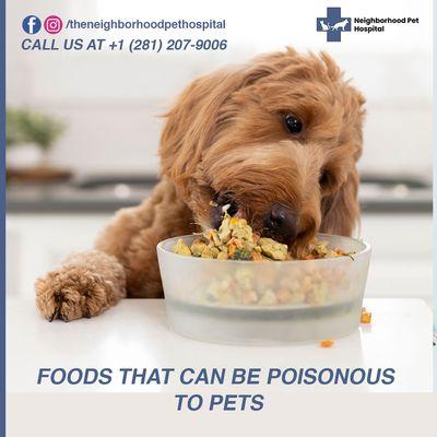 Food that can be poisonous to pets