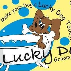 Lucky Dogs Grooming