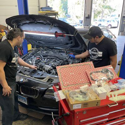 We do a ton of BMW timing chain work - have the job down to a science!