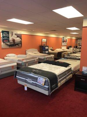 Great temperpedic selections