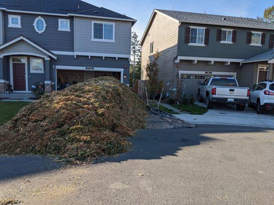 30+ yards of wood chips in my driveway