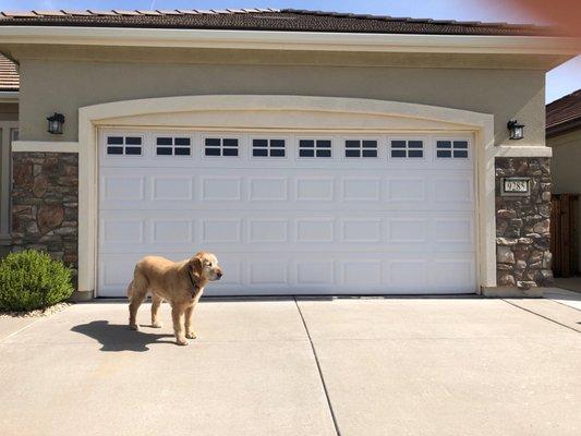 New garage door from D&D Overhead Door - excellent work!