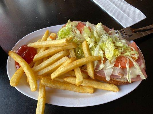 Italian sub lunch special with fries