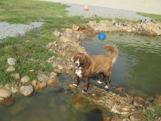 Callie loves the waterpark!