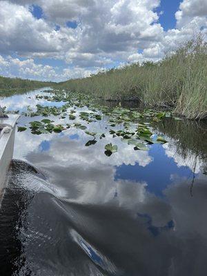 The Everglades, airboat tour