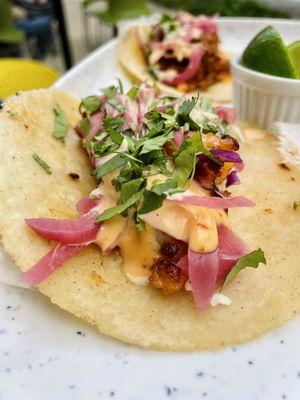 Mahi Mahi Taco