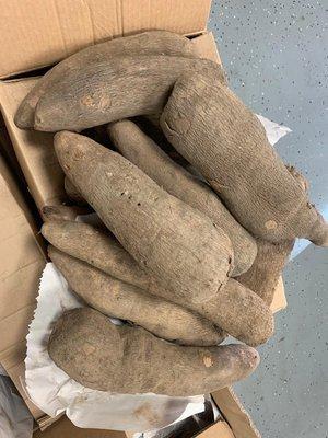 Fresh yam