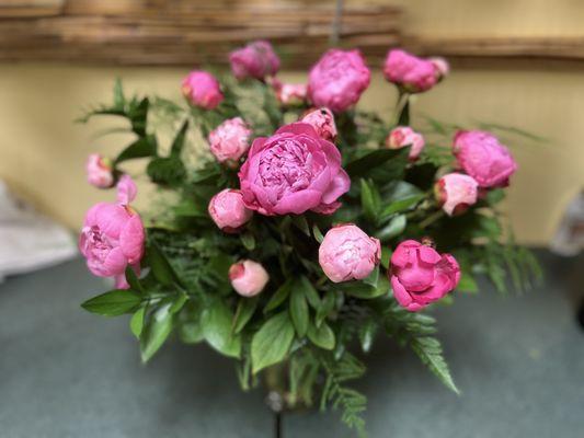 Peony's are here for a short time - Taking advanced orders