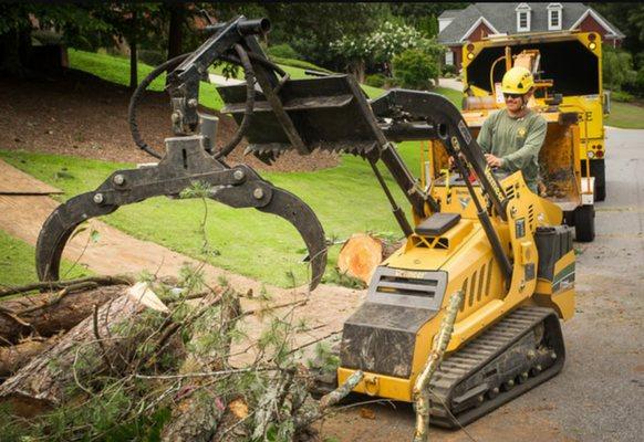 Tree Removal