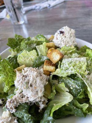 Stuffed Avocado Salad