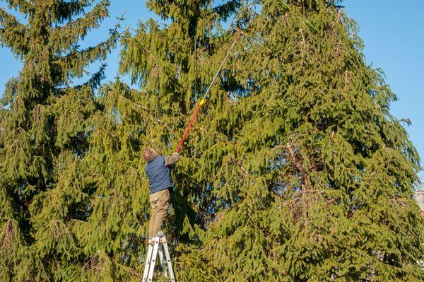 J & L Tree Service got its start from humble beginnings with an old truck, a wood chipper, and a small business loan...