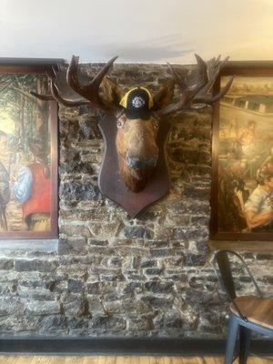 Moose head on wall