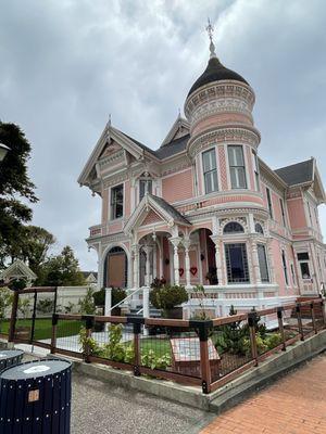 Pink Lady Victorian