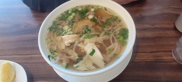 Pho chicken soup