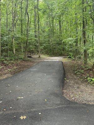 Campsite at Look Rock Campground