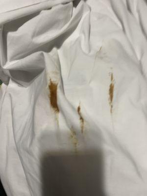 The fried shit stains on there sheet that they "cleaned"