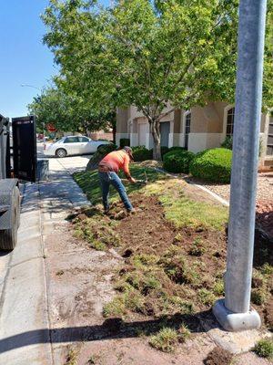 Sod removal.