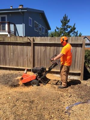 Stump Grinding