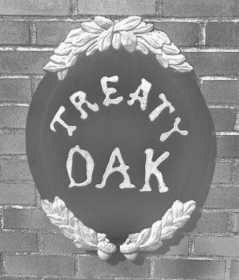 Treaty Oak Park