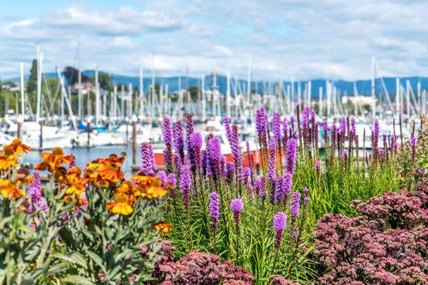 Bellingham Bay photo by Jordan Stambaugh