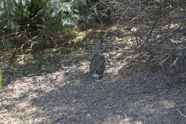 Beverly Canyon Trailhead