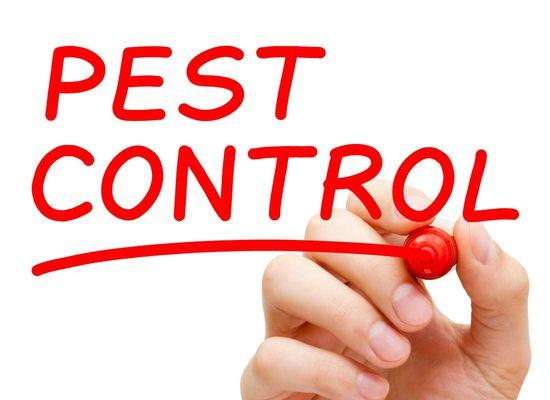 Scottsdale AZ Pest Control Company