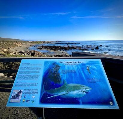 Views and interesting info signs along the boardwalk