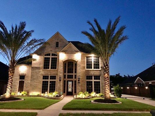 Palm trees and landscaping by Three Sister's Nursery