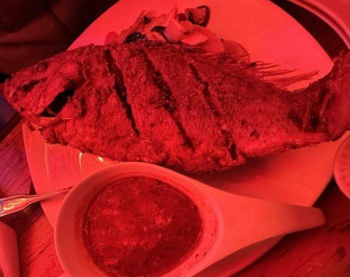 Red Snapper It was huge. The wife love it