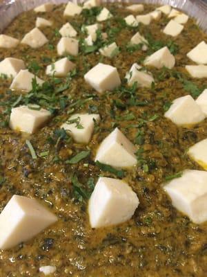 Palak Paneer