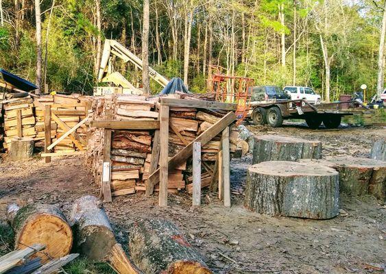 Tree removal, wood and equipment at the yard located on Cooks Lake Road in Lumberton, TX.