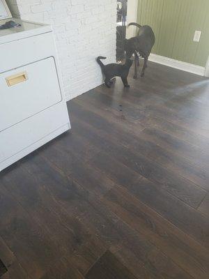 New kitchen floor from floored at home.  Even the pets are impressed!