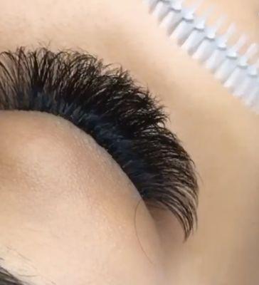 Mega Volume Lashes