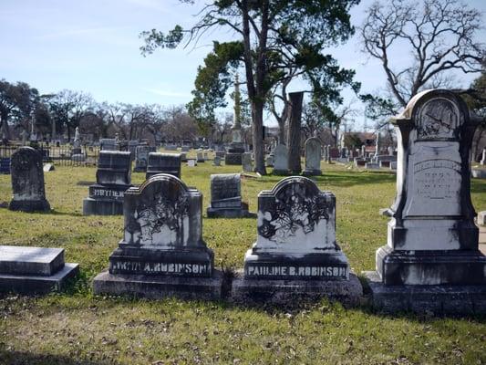 Big names of Oakwood Cemetery: Robinson