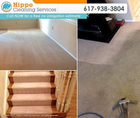 Carpet Cleaning Service