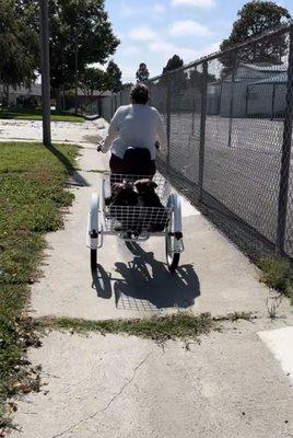 The frame and basket were initially mounted wrong by someone else.