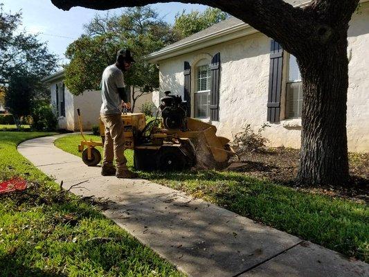 Stump grinding