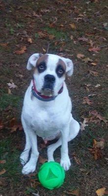 Sherman  age 10    Ready to play ball  Submitted by Leigh Godley