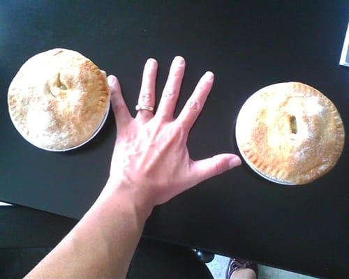 See how big the fruit pies are!?