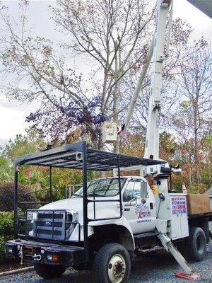 Bucket truck near the tree.