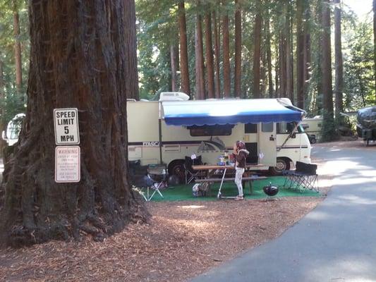 Lakeside Radiator keeps my RV pulling strong! Last month in the Redwoods!