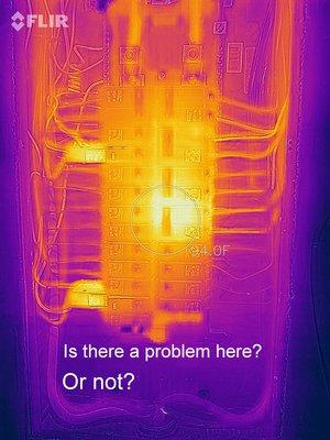 Thermal Images can be deceptive - be careful to get an educated explanation.