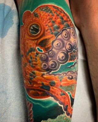 fun octopus by Dan Dittmer