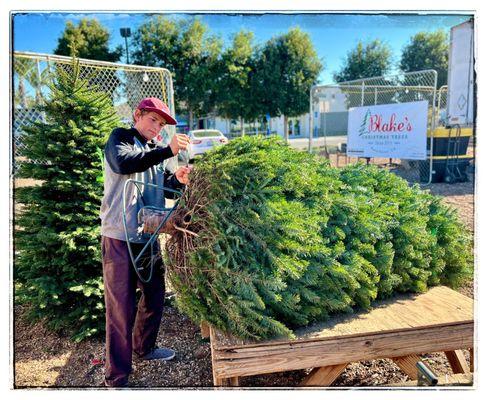 This is Blake's hard-working nephew, Kayson, expertly installing a new, technologically advanced stand to our tree.