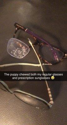 My puppy chewed my prescription glasses and sunglasses- I was so sad!  But Coastal Vision replaced them for me!