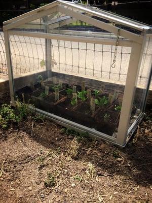 Our herb garden